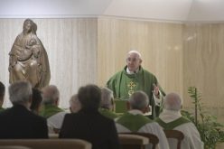 Папа Фрањо: Да се одбие Господовата бесплатност е грев на сите нас