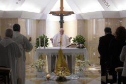 Папа Фрањо: Вистинскиот мир се сее во срцето