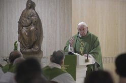 Папата: Да се има власт не значи да се заповеда, туку да се биде доследен и да се сведочи