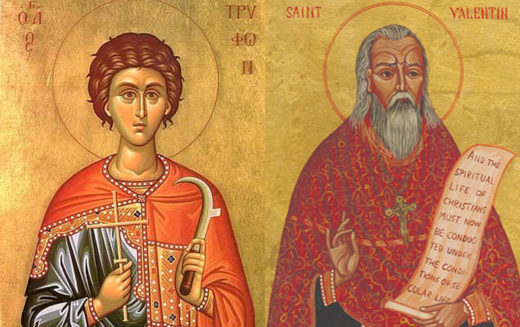 Свети Трифун или свети Валентин?