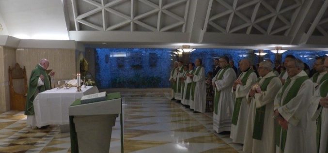 Папата: Да се биде христијанин значи да се прифати Исусовиот пат сè до крстот