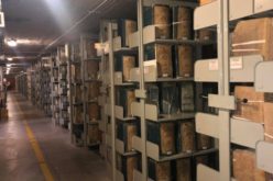 Архивските материјали за понтификатот на Пио XII достапни за научниците