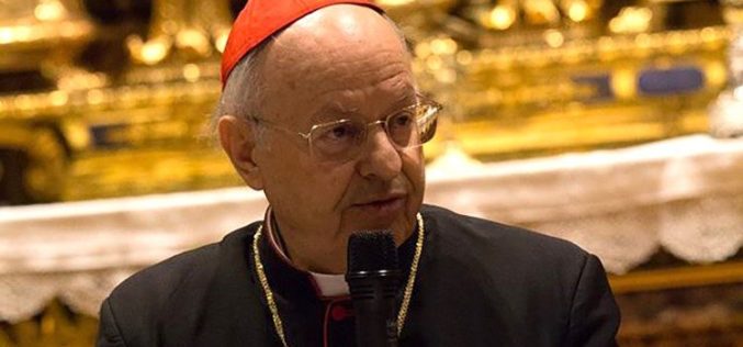 Кардинал Балдисери: Папата сака динамична Црква која оди заедно