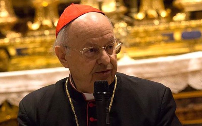 Кардинал Балдисери: Папата сака динамична Црква која оди заедно