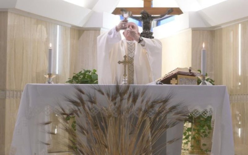 Папата: Радоста која нè исполнува е плод на Светиот Дух