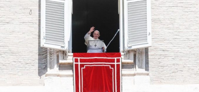Папата: Да ги носиме своите животни приказни пред Бог за да ја допреме Неговата нежност