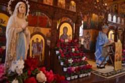 Најава: Епископот Стојанов во Струмица ќе служи света архиерејска Литургија по повод Светскиот ден на болни