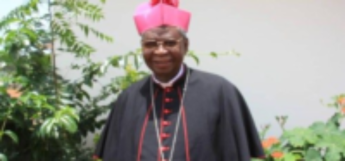 Епископите на Гана ќе посадат милион стебла