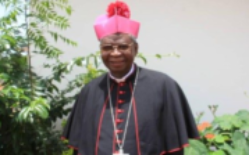 Епископите на Гана ќе посадат милион стебла