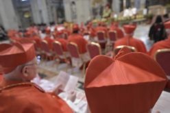 Папата го именува главниот релатор за следната редовна Генерална Епископска синода