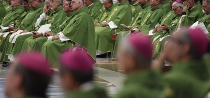 Папата Фрањо одобри поголеми овластувања на месните бискупи