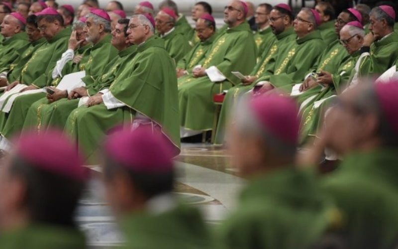 Папата Фрањо одобри поголеми овластувања на месните бискупи