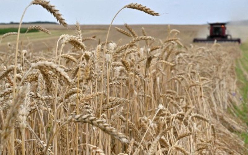 Папата апелираше за договор за житото: „Плачот на гладните се воздигнува до небо“