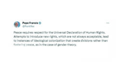 Папата Фрањо ја осуди идеолошката колонизација