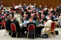 Европските учесници на Синодата поканети на средба во Линц