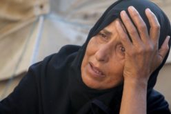 Надбискупот Кача: Итно е потребен прекин на огнот и хуманитарна помош за исцрпениот народ во Газа