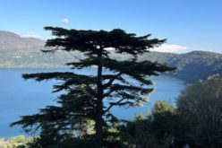 Првата света Литургија за зачувување на созданието Папата ќе ја служи во Кастел Гандолфо