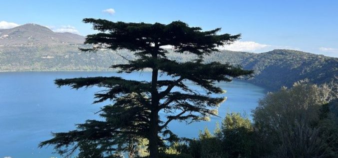 Првата света Литургија за зачувување на созданието Папата ќе ја служи во Кастел Гандолфо