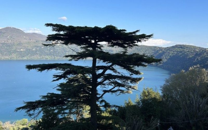 Првата света Литургија за зачувување на созданието Папата ќе ја служи во Кастел Гандолфо