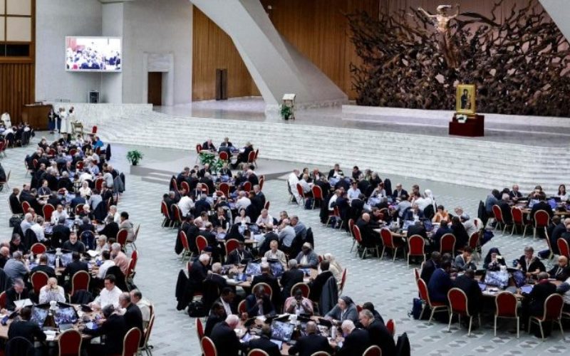 Синода: Насоки за фазата на примена