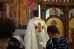 Во Струмица се одржа 5. Светски ден на баби и дедовци и стари лица