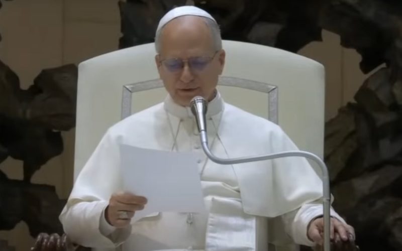 Папата: Христијанската надеж е одлука да се истрае во љубовта