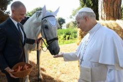 Папата го отвори „Borgo Laudato si’“: Грижата за созданието е повик за секој човек