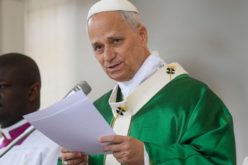 Лав XIV: Вложените напори нека ја запрат војната