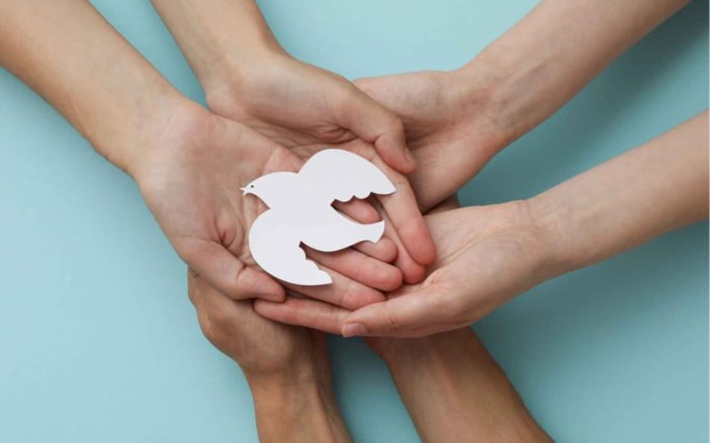 Слово за живот, ноември 2025