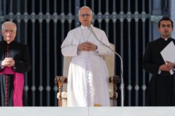 Генерална аудиенција: Потребна е еколошко преобраќање. Човекот треба да биде чувар на целото создание, а не уништувач