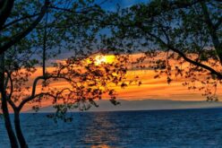 Слово на животот, јануари 2026