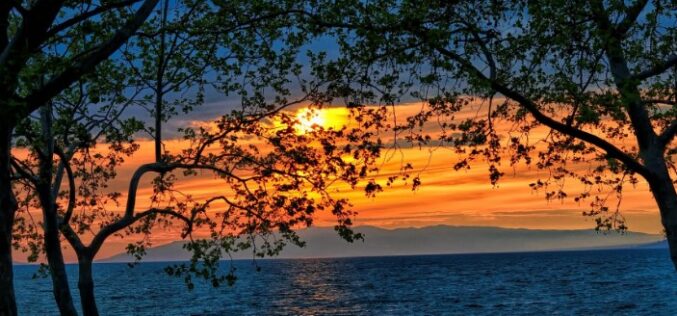 Слово на животот, јануари 2026