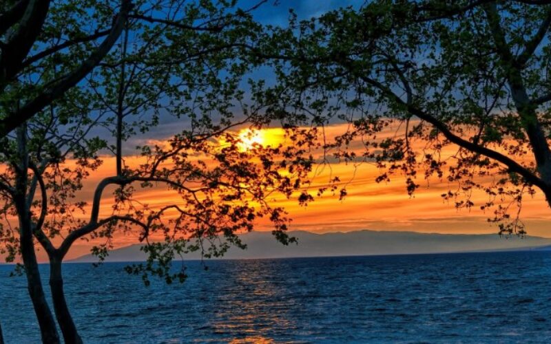 Слово на животот, јануари 2026