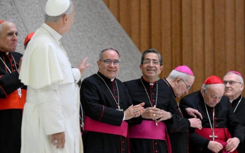 Генерална аудиенција: Вториот ватикански собор нè повикува да бидеме храбри сведоци на правдата и мирот