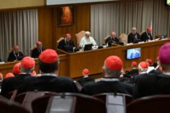 Папата го отвори конзисториумот: „Тука сум да слушам. Да научиме да работиме заедно“