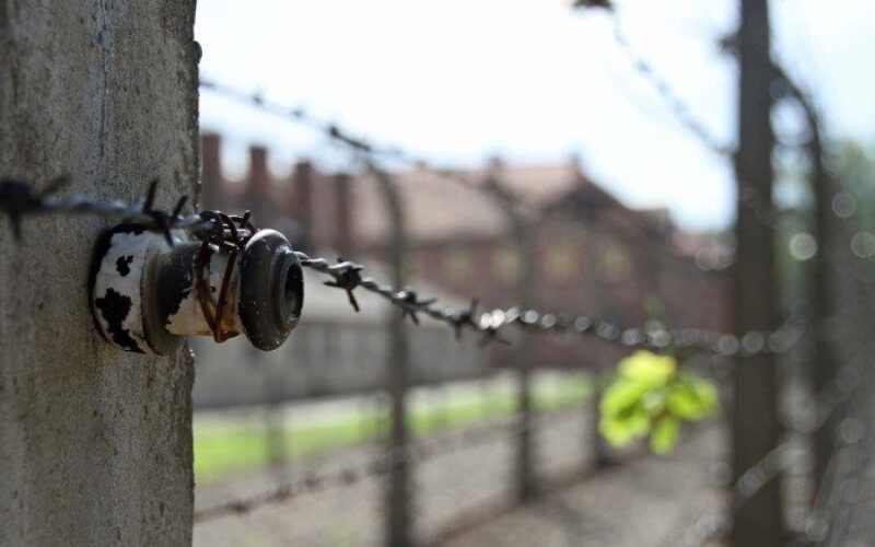 Папа Лав XIV: Црквата остро се спротивставува на секоја форма на антисемитизам