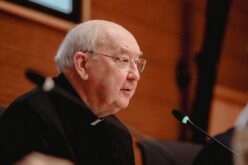 Кардинал Фарел: Локалната Црква треба да им помогне на мирјаните со основна формација