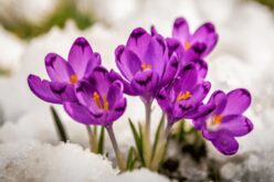 Слово на животот, за февруари 2026 година