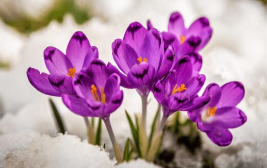 Слово на животот, за февруари 2026 година