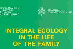 Ватикан објави документ за интегрална екологија во семејството