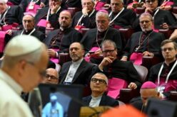 Папата до епископите: Плодотворноста на Црквата не се мери со бројки