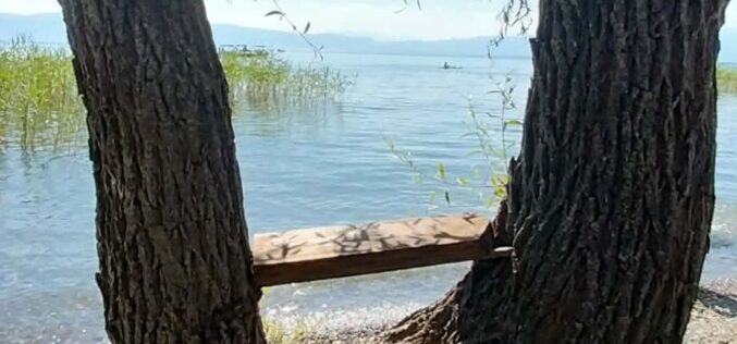 Одмор без сопружникот или бегство од заедништвото?