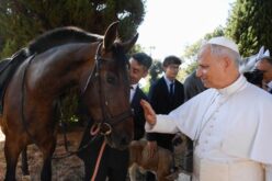 Лав XIV: „Војната и уништувањето на животната средина се поврзани“